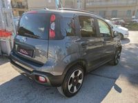 usata Fiat Panda Cross Cross 1.0 FireFly S&S Hybrid