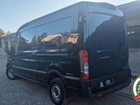 usata Ford Transit Trend L3H2