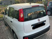 Usata Fiat Panda 69 CV (50 kW) 2018 Utilitaria