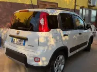 Usata Fiat Panda City Life 69 CV (50 kW) 2022 Utilitaria