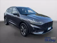 Usata Ford Kuga ST-Line X 225 CV (165 kW) 2023 Grigio SUV