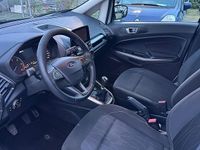 Usata Ford Ecosport 99 CV (72 kW) 2018 Bianco SUV