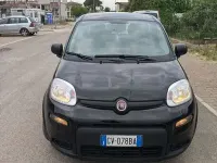 Usata Fiat Panda S 69 CV (50 kW) 2024 Utilitaria