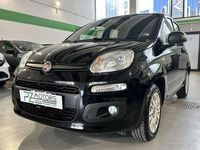 Usata Fiat Panda Easy 69 CV (50 kW) 2019 Nero Utilitaria