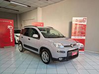 Usata Fiat Panda S 70 CV (51 kW) 2023 Grigio chiaro Utilitaria