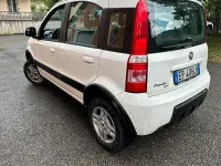 Usata Fiat Panda 4x4 Climbing 75 CV (55 kW) 2012 Bianco Utilitaria