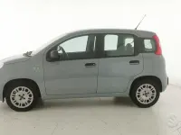 Usata Fiat Panda Easy 69 CV (50 kW) 2019 Grigio Utilitaria