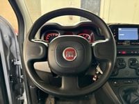 Usata Fiat Panda City Life 70 CV (51 kW) 2022 Grigio Utilitaria