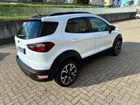 usata Ford Ecosport 1.0 EcoBoost 125 CV Start&Stop Active