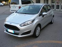 usata Ford Fiesta 1.5 TDCi 95CV 5 porte Business