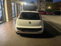 Usata Fiat Punto Evo Dynamic 86 CV (63 kW) 2013 Bianco Utilitaria