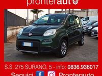 Usata Fiat Panda 4x4 75 CV (55 kW) 2015 Verde Utilitaria