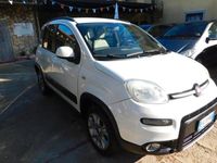 Usata Fiat Panda 4x4 S 75 CV (55 kW) 2013 Bianco Utilitaria