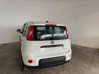 usata Fiat Panda PANDA My23 1.0 70cv Hybrid