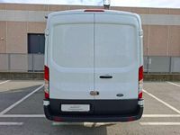 Usata Ford Transit Trend 105 CV (77 kW) 2023 Bianco Furgone
