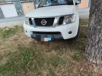 Usata Nissan Navara 190 CV (139 kW) 2014 Bianco Pick-up