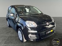 Nuova Fiat Panda Icon 65 CV (47 kW) 2025 Nero Utilitaria