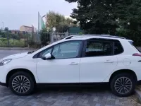 Usata Peugeot 2008 Allure 83 CV (61 kW) 2019 Bianco SUV