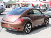 Usata VW Beetle Allstar 105 CV (77 kW) 2017 Bronzo Utilitaria
