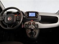 usata Fiat Panda Cross 1.0 FireFly S&S Hybrid City my 20 usato