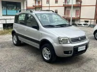 Usata Fiat Panda 4x4 Climbing 69 CV (50 kW) 2005 Grigio Utilitaria
