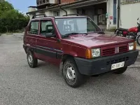 Usata Fiat Panda 4x4 Trekking 54 CV (39 kW) 1999 Rosso Utilitaria