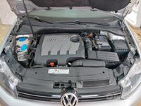 usata VW Golf VI Golf 1.6 TDI DPF 5p. BlueMotion
