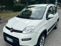 Usata Fiat Panda 4x4 S 75 CV (55 kW) 2014 Bianco Utilitaria