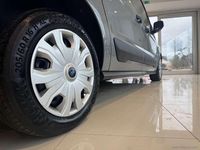 Usata Ford Transit Trend 101 CV (74 kW) 2023 Grigio Furgone