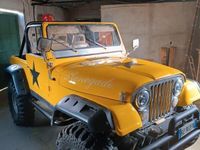 Usata Jeep CJ 1980 Giallo SUV
