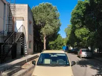Usata Fiat Panda Emotion 69 CV (50 kW) 2011 Giallo Utilitaria