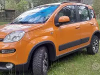 Usata Fiat Panda 4x4 85 CV (62 kW) 2017 Utilitaria