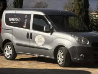 Usata Fiat Doblò Dynamic 135 CV (99 kW) 2011 Argento Monovolume