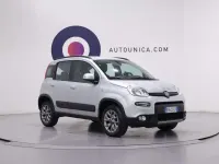 Usata Fiat Panda 4x4 S 95 CV (69 kW) 2017 Grigio Utilitaria