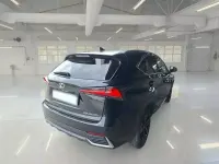 Usata Lexus NX300h 154 CV (113 kW) 2021 SUV