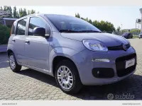 Usata Fiat Panda Easy 69 CV (50 kW) 2019 Grigio Utilitaria