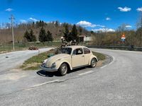 Usata VW Beetle 1970 Utilitaria
