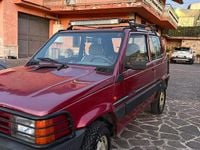 Usata Fiat Panda 4x4 54 CV (39 kW) 2002 Rosso Utilitaria