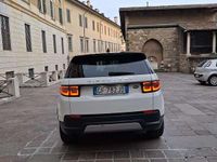 Usata Land Rover Discovery Sport HSE 190 CV (139 kW) 2021 Bianco SUV