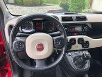 Usata Fiat Panda 4x4 86 CV (63 kW) 2014 Rosso Utilitaria