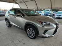 usata Lexus NX300h NX2.5 Business 4wd cvt