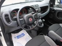 Usata Fiat Panda S 70 CV (51 kW) 2021 Bianco Utilitaria
