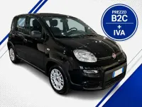 Usata Fiat Panda 69 CV (50 kW) 2023 Vari colori Utilitaria