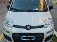 Usata Fiat Panda 2012 Utilitaria