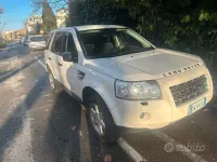 Usata Land Rover Freelander 2 160 CV (117 kW) 2009 Bianco SUV