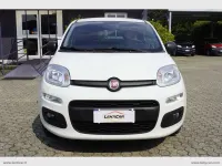 Usata Fiat Panda Pop 69 CV (50 kW) 2022 Bianco Utilitaria