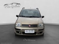 Usata Fiat Panda Dynamic 60 CV (44 kW) 2009 Bronze Utilitaria