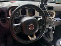 Usata Fiat Panda Cross Cross 85 CV (62 kW) 2019 Rosso Utilitaria