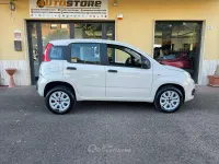 Usata Fiat Panda Young 80 CV (58 kW) 2015 Beige Utilitaria