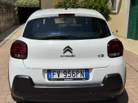 Usata Citroën C3 Live 68 CV (50 kW) 2019 Utilitaria